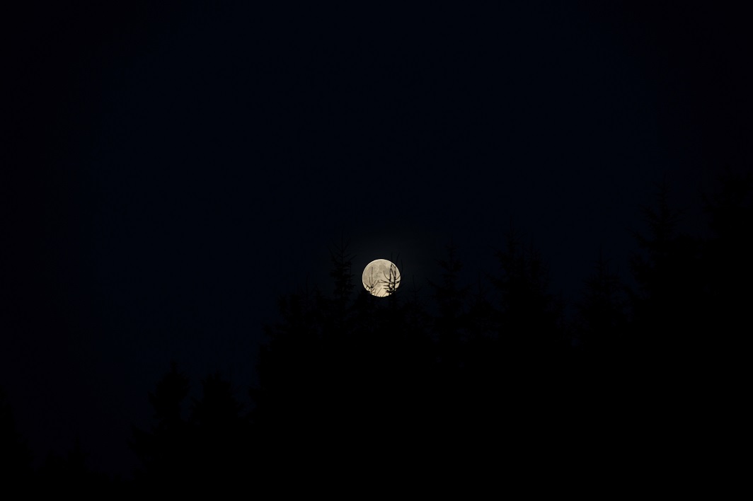 DSC_4976